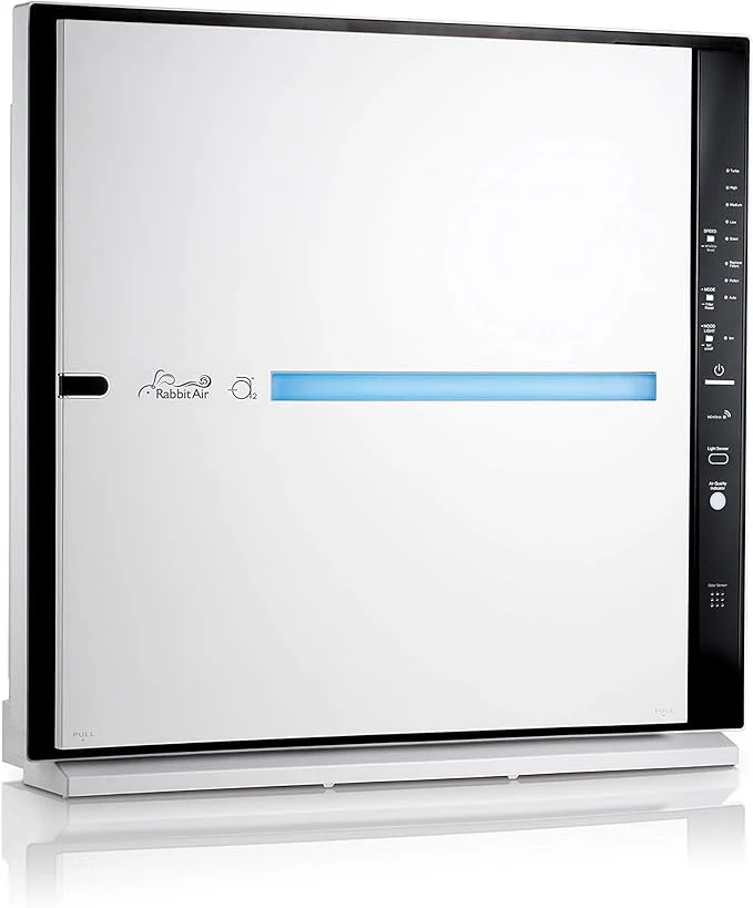 Modern Rabbit Air MinusA2 Air Purifiers Practical