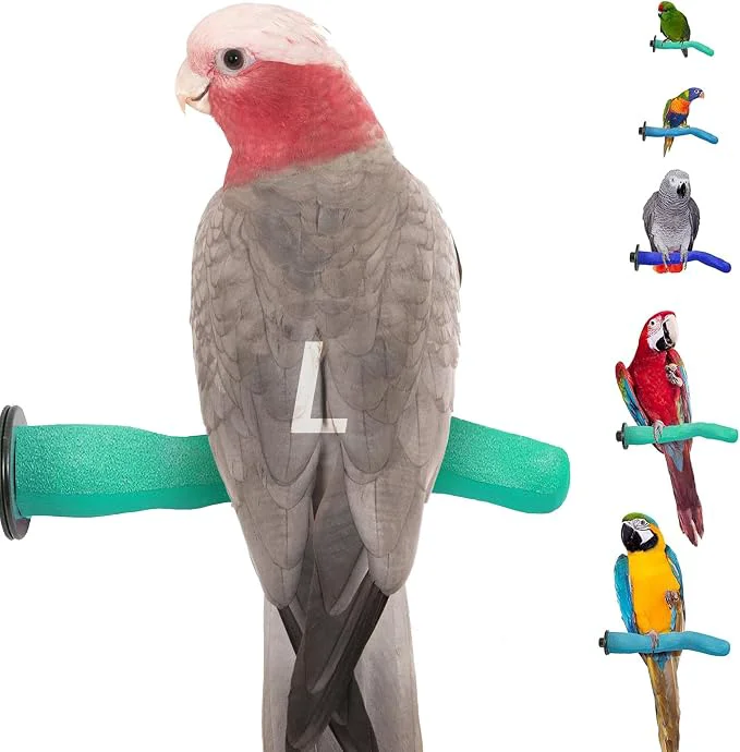 Minimalist Sweet Feet and Beak Brid Cage Safety Pumice Perch Pure
