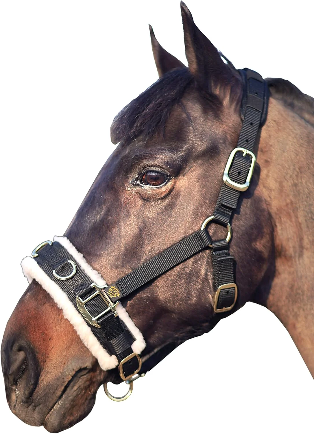 High-Grade T TEKE Lunge Cavesson with Fleece Lined Nose Band and Crown Minimalist