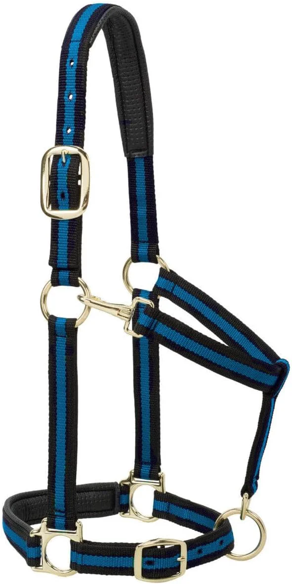 Specialty Weaver Equine Nylon Horse Halter Triple-Ply Cheek Design Non Adjustable Halters for Horses Equine Tack Average Size Black Functional