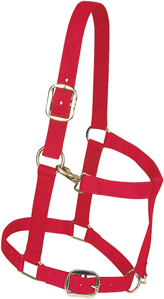 Optimized Weaver Leather Adjustable Nylon Horse Halter Classic