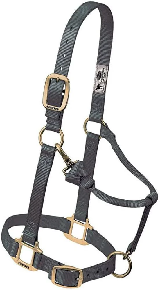 Prestigious Weaver Leather Adjustable Nylon Horse Halter Healthy