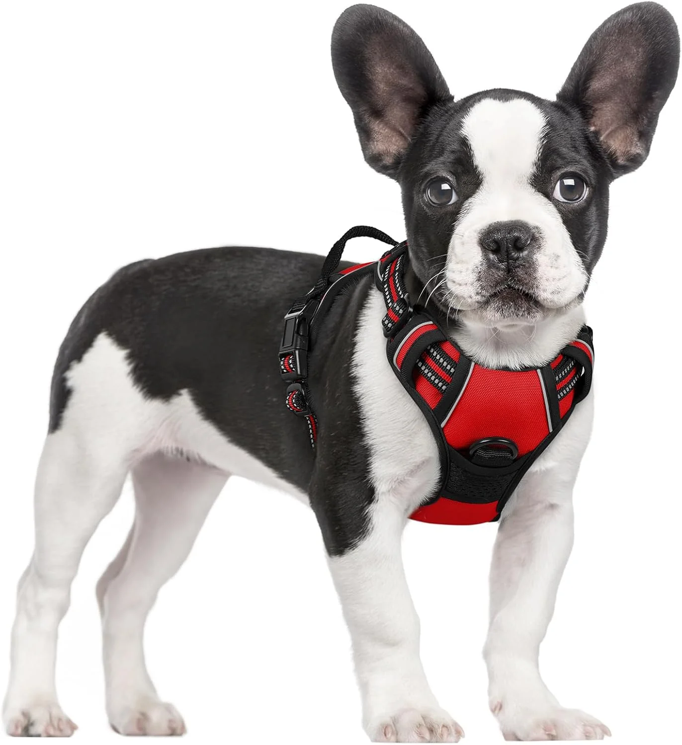 Enhanced rabbitgoo Dog Harness No Pull with 2 Leash Clips Adjustable Soft Padded Reflective Oxford No Choke Pet Vest with Easy Control Handle for Small Dogs Red S Effective