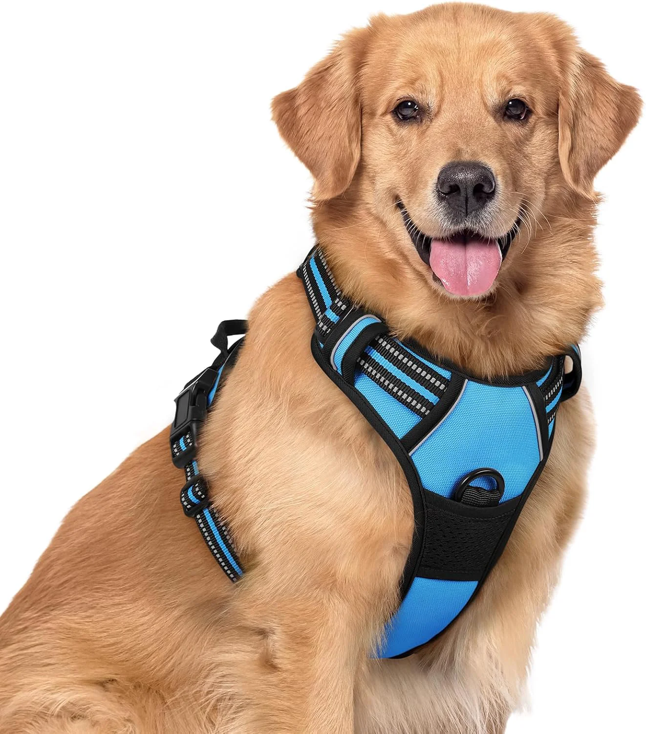Convenient rabbitgoo Dog Harness No Pull with 2 Leash Clips Adjustable Soft Padded Reflective Oxford No Choke Pet Vest with Easy Control Handle for Large Dogs Blue XL Reliable