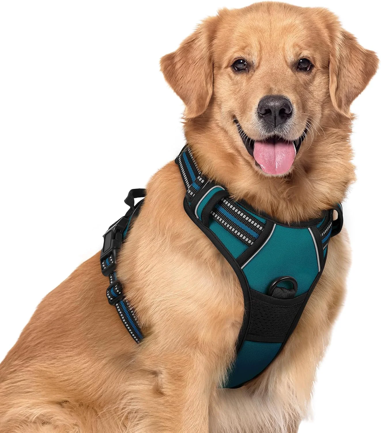 Elite rabbitgoo Dog Harness No Pull with 2 Leash Clips Adjustable Soft Padded Reflective Oxford No Choke Pet Vest with Easy Control Handle for Large Dogs Blue Coral XL Fashionable