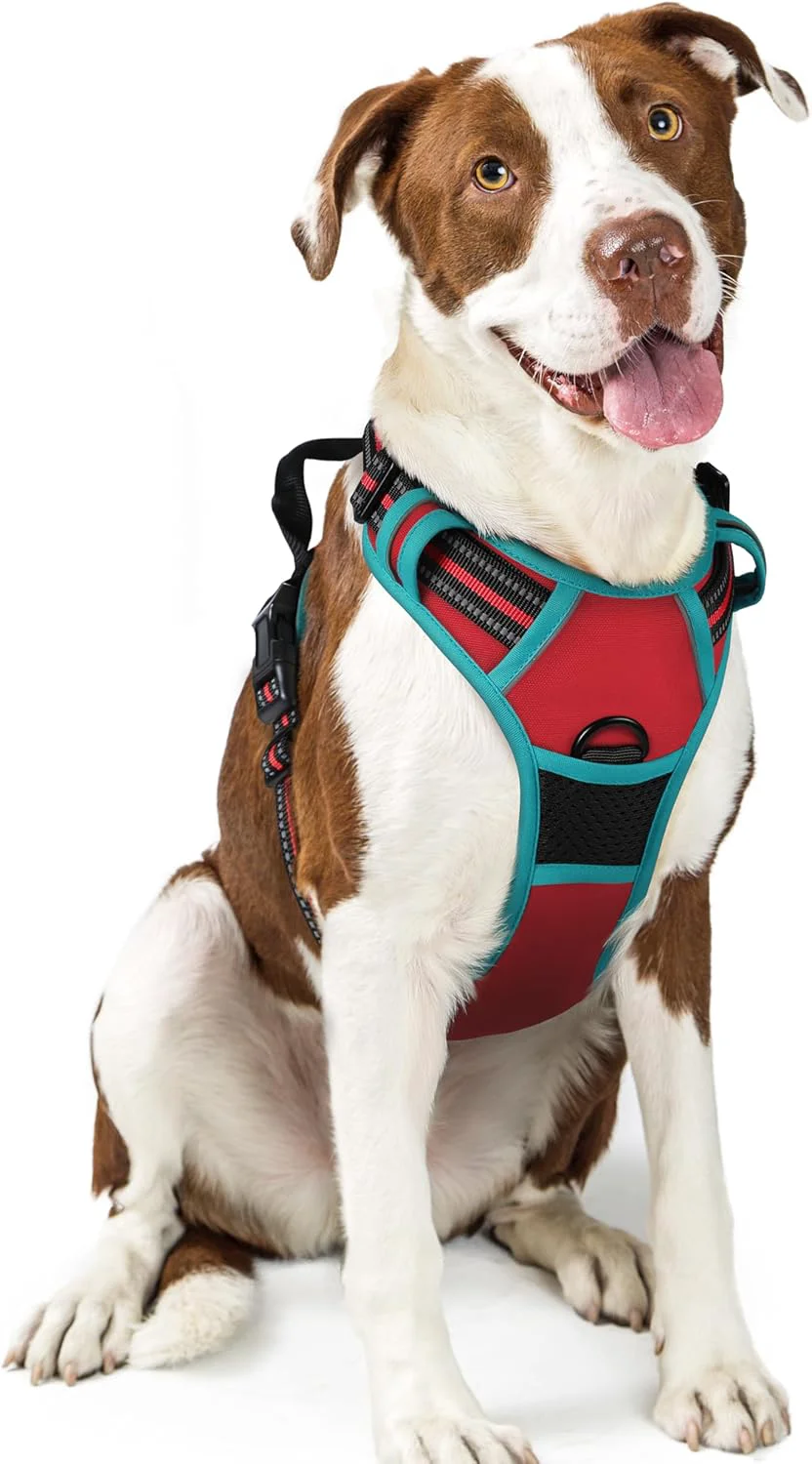 High-Grade rabbitgoo Dog Harness No Pull with 2 Leash Clips Adjustable Soft Padded Reflective Oxford No Choke Pet Vest with Easy Control Handle for Large Dogs Red Teal L Artisan
