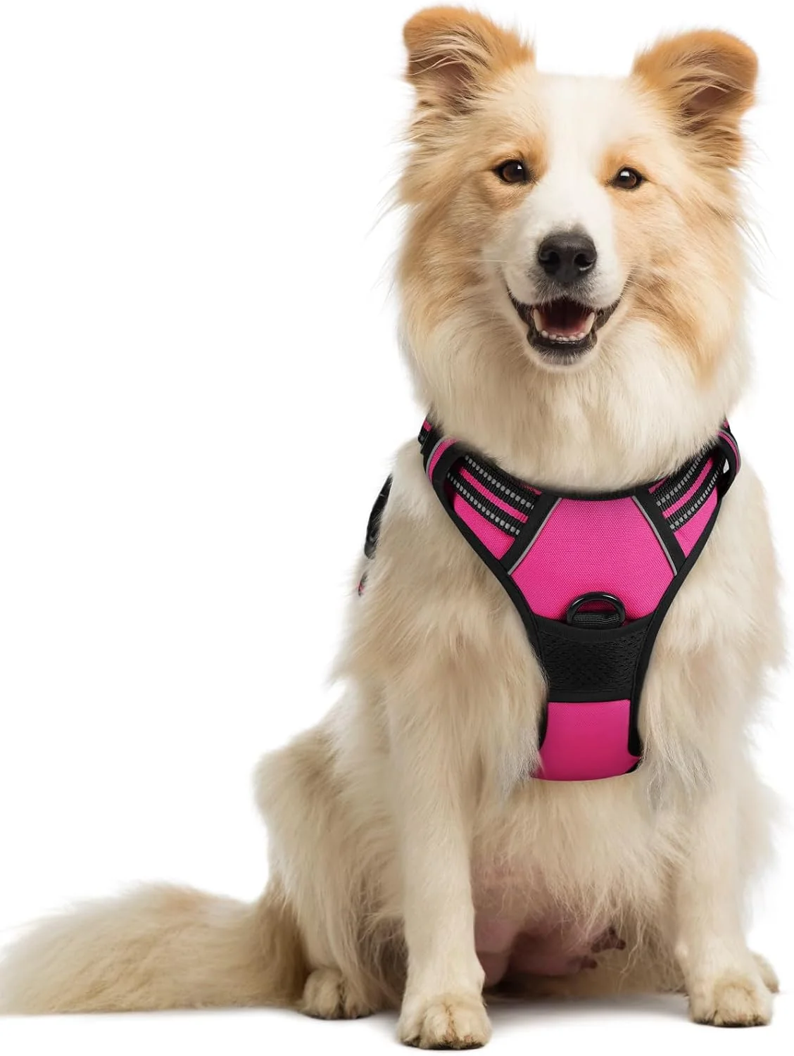 Clean rabbitgoo Dog Harness No Pull with 2 Leash Clips Adjustable Soft Padded Reflective Oxford No Choke Pet Vest with Easy Control Handle for Medium Sized Dogs Hot Pink M High-Grade