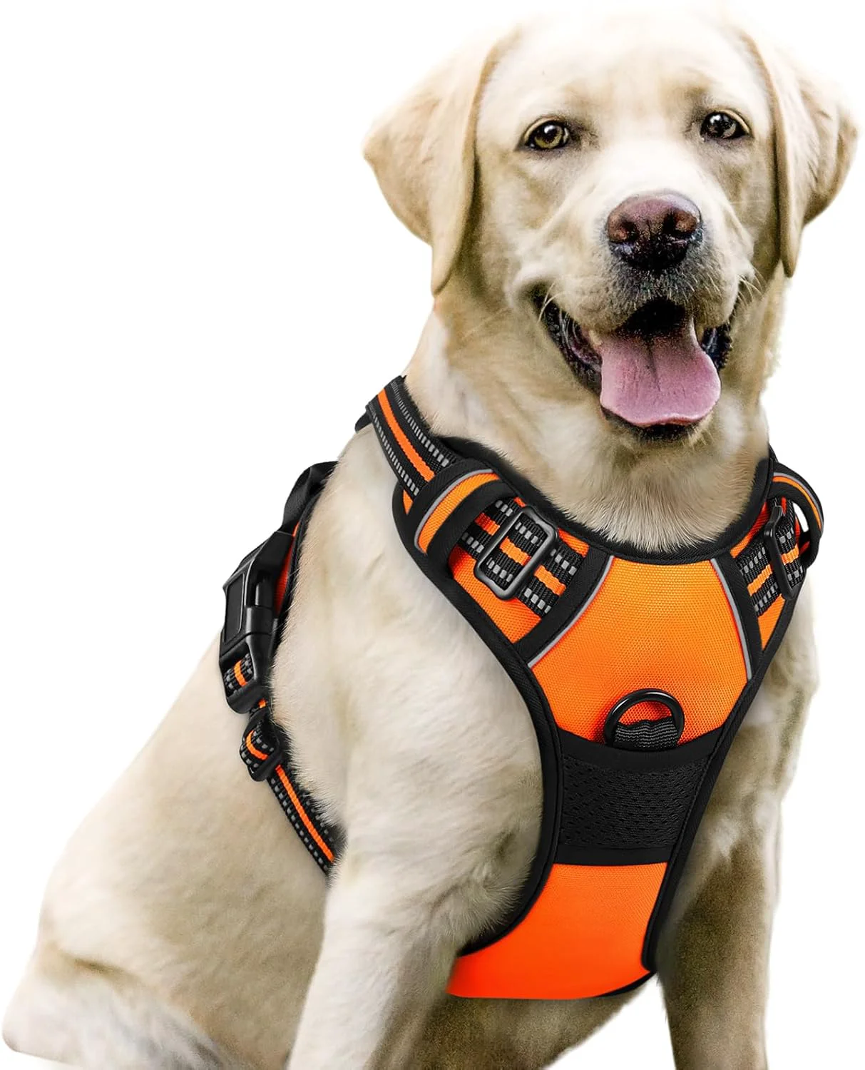 Crafted rabbitgoo Dog Harness No Pull with 2 Leash Clips Adjustable Soft Padded Reflective Oxford No Choke Pet Vest with Easy Control Handle for Large Dogs Orange L