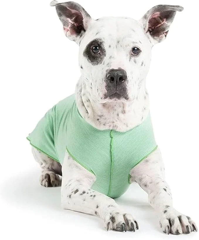 Crafted Goldpaw Dog Sun Shirt with UV Protection – Lightweight Cooling Sun Protection Clothing for Dogs – Reduce Heat Absorption – Pet Clothes Made in The USA – Machine Washable – Pistachio Green – Size 8About ThisOverview Proven