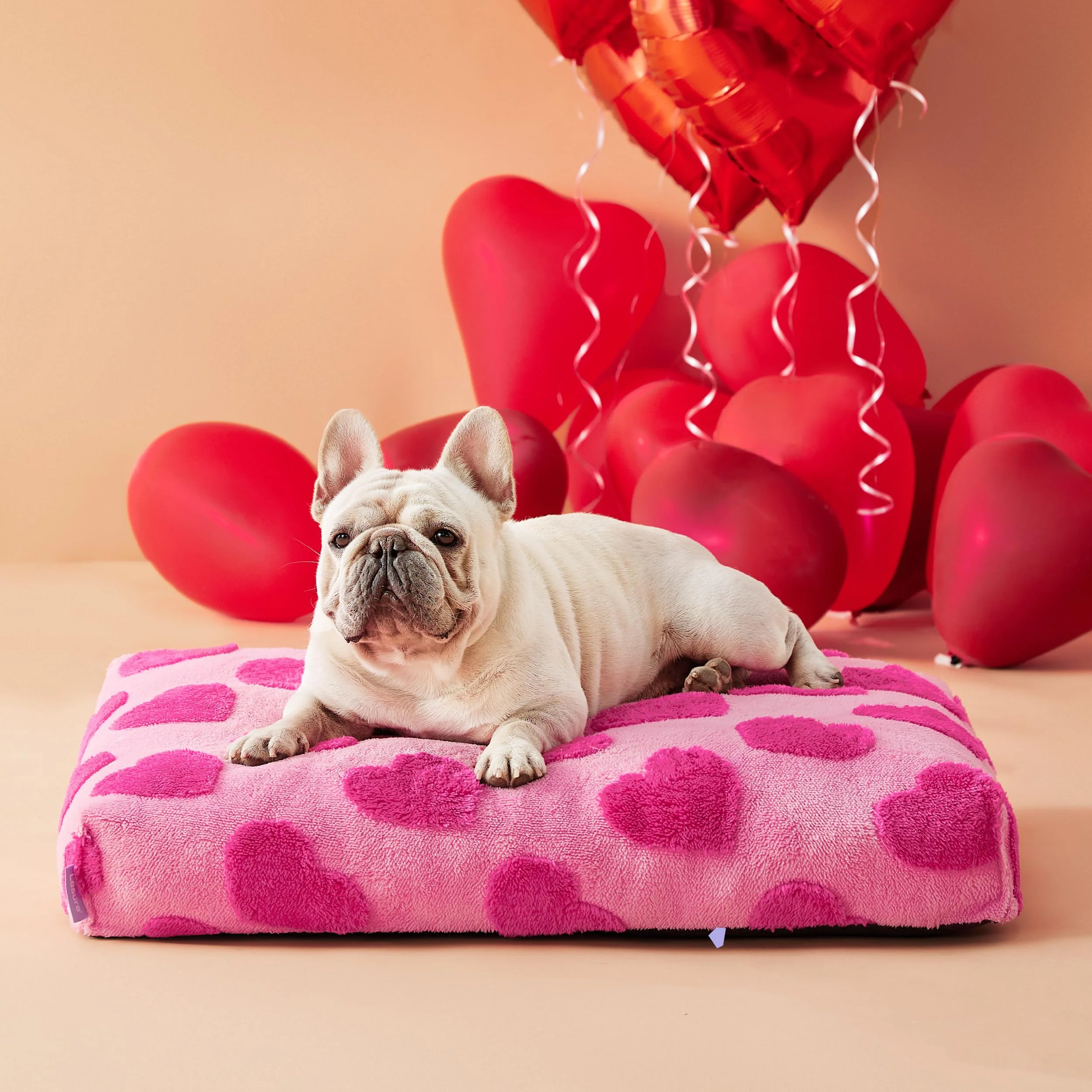 Premium LE SURE Medium Dog Bed – Thick Shredded Foam Pink Removable Cover Anti-Slip Bottom Convenient