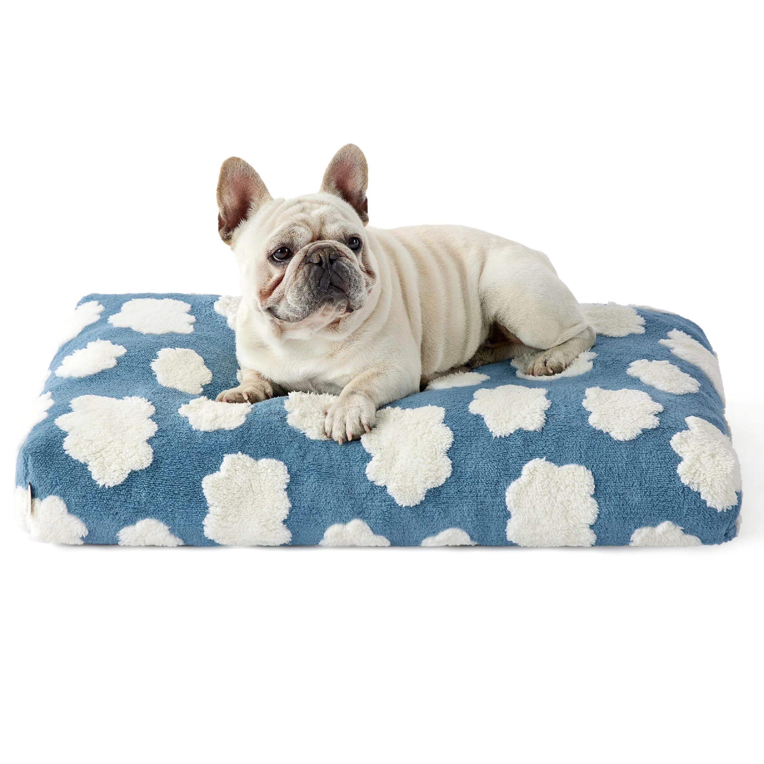 Elite LE SURE Cute Dog Beds – Medium Shredded Foam Bed with Removable Cover Blue Casual