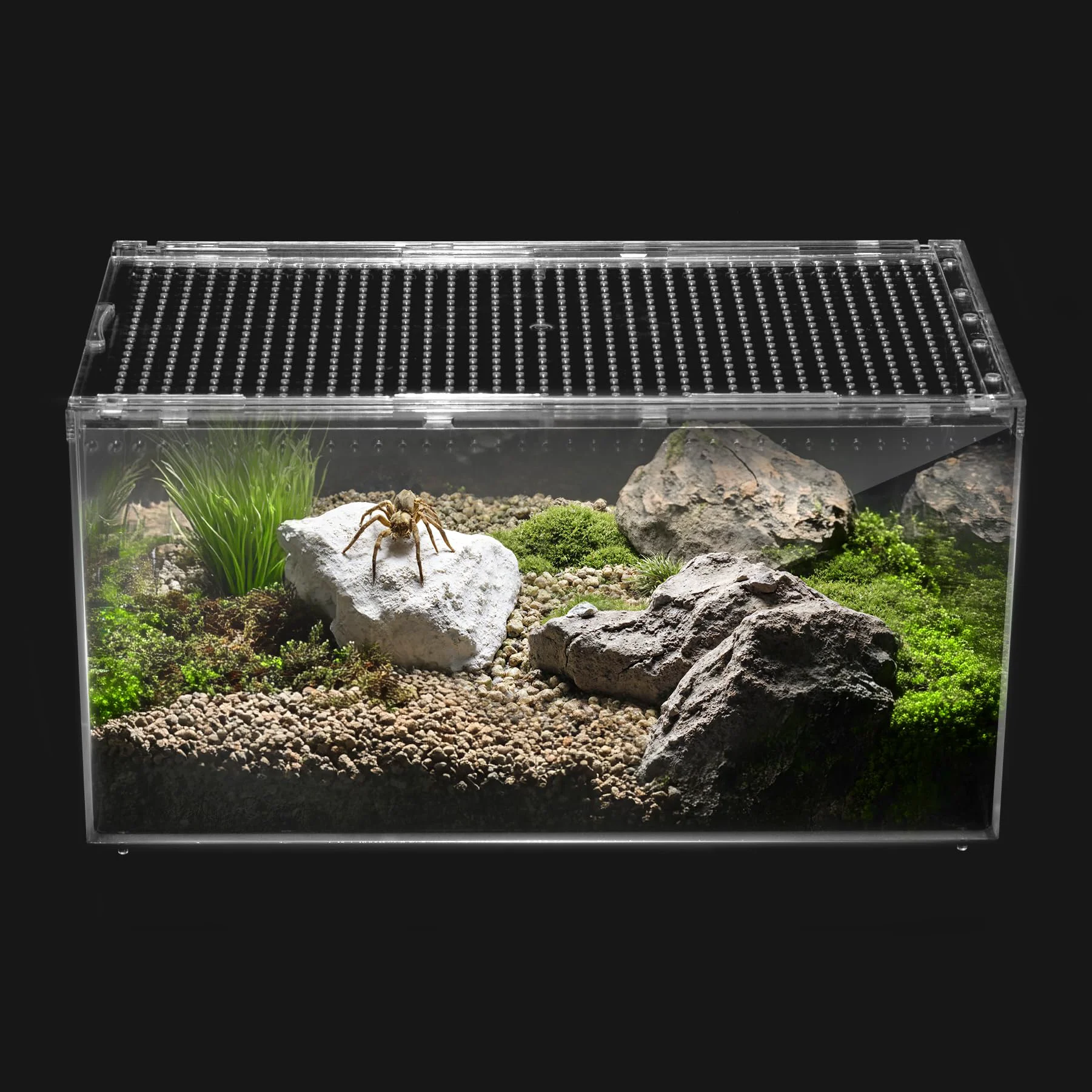Elite Clioran Reptile PC Terrarium – 360° View Anti-Escape Design Easy Clean Habitat Specialty