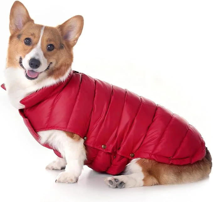 Classic SPACE LION Dog Puffer Jacket Down Winter Coat Durable Outdoor Coat for Cold and Windy Conditions Lightweight Adjustable Fit Coats for Large Dogs Red Size22 XL About ThisOverview Prestigious