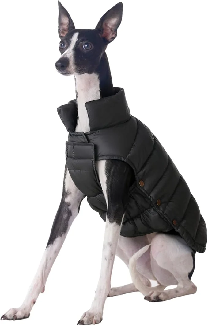 Artisan SPACE LION Dog Puffer Jacket Down Winter Coat Durable Outdoor Coat for Cold and Windy Conditions Lightweight Adjustable Fit Coats for Large Dogs Onyx Black Size28 4XL About ThisOverview Casual