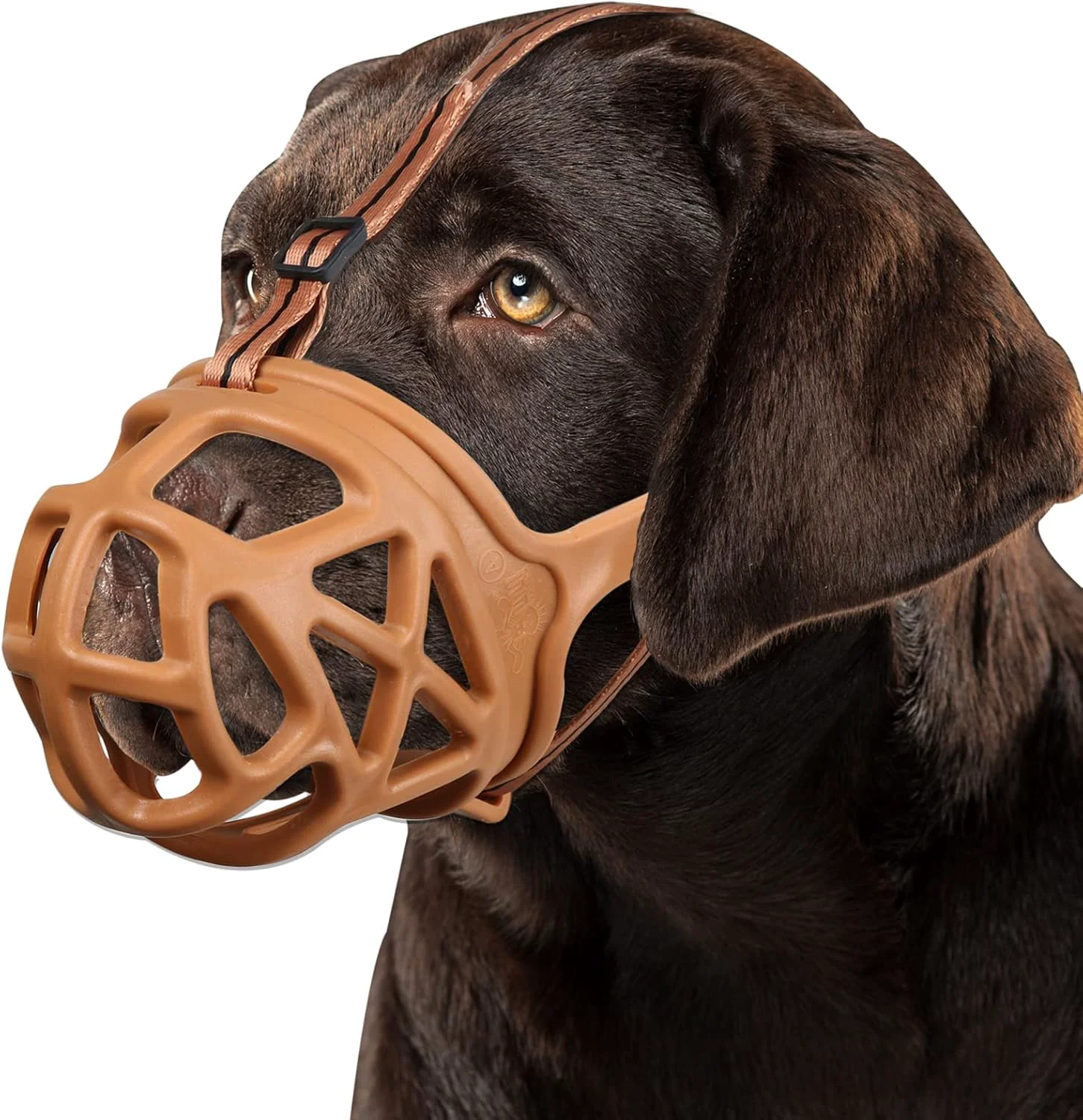 Efficient BARKLESS Dog Muzzle Basket Muzzle for Biting Chewing and Scavenging Humane Cage Mouth Cover for Grooming and Training Small Aggressive Reactive Dogs XS Brown Secure