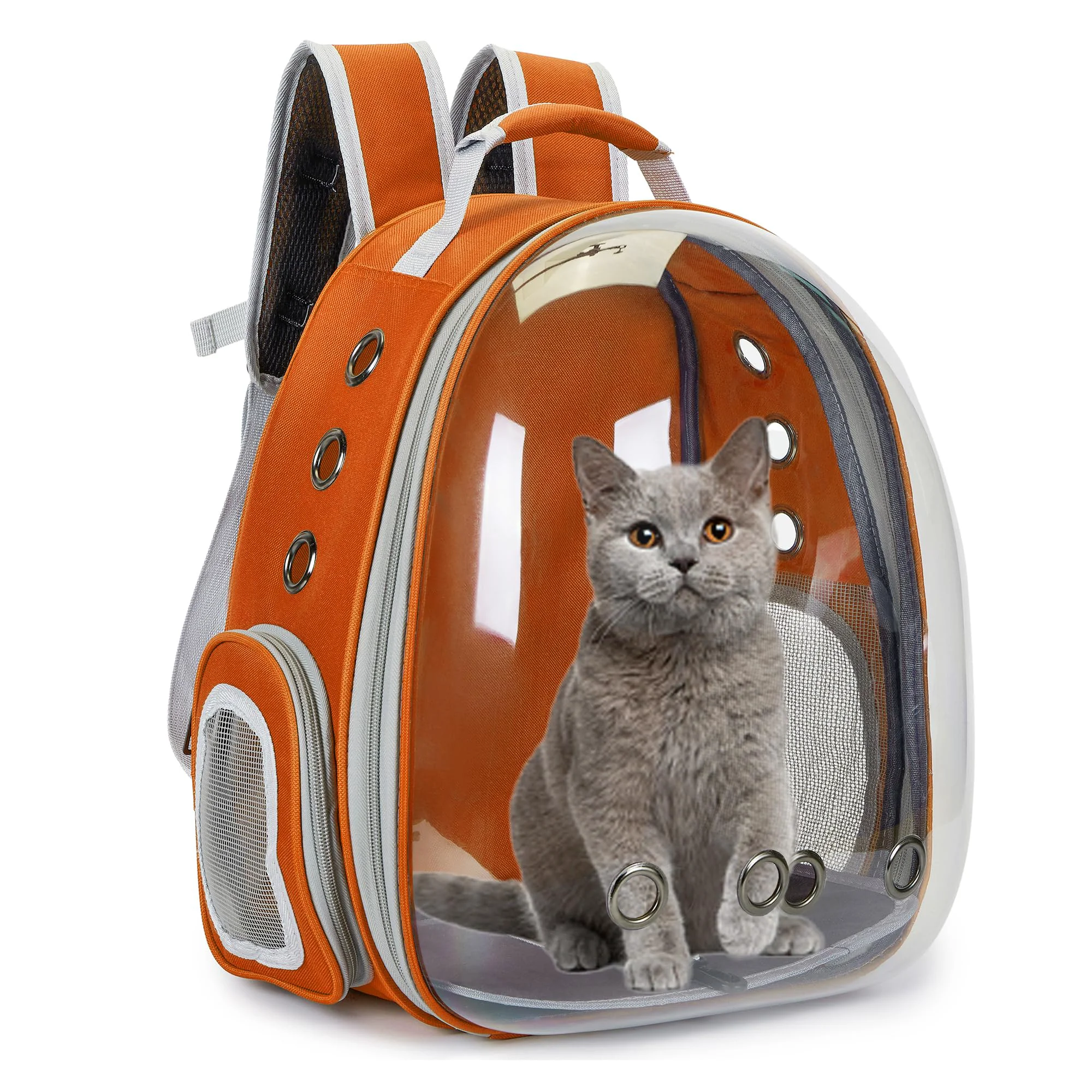 Certified Cacihato Cat Bubble Backpack Carrier Airline- Pet Travel Carrier Orange Trendy