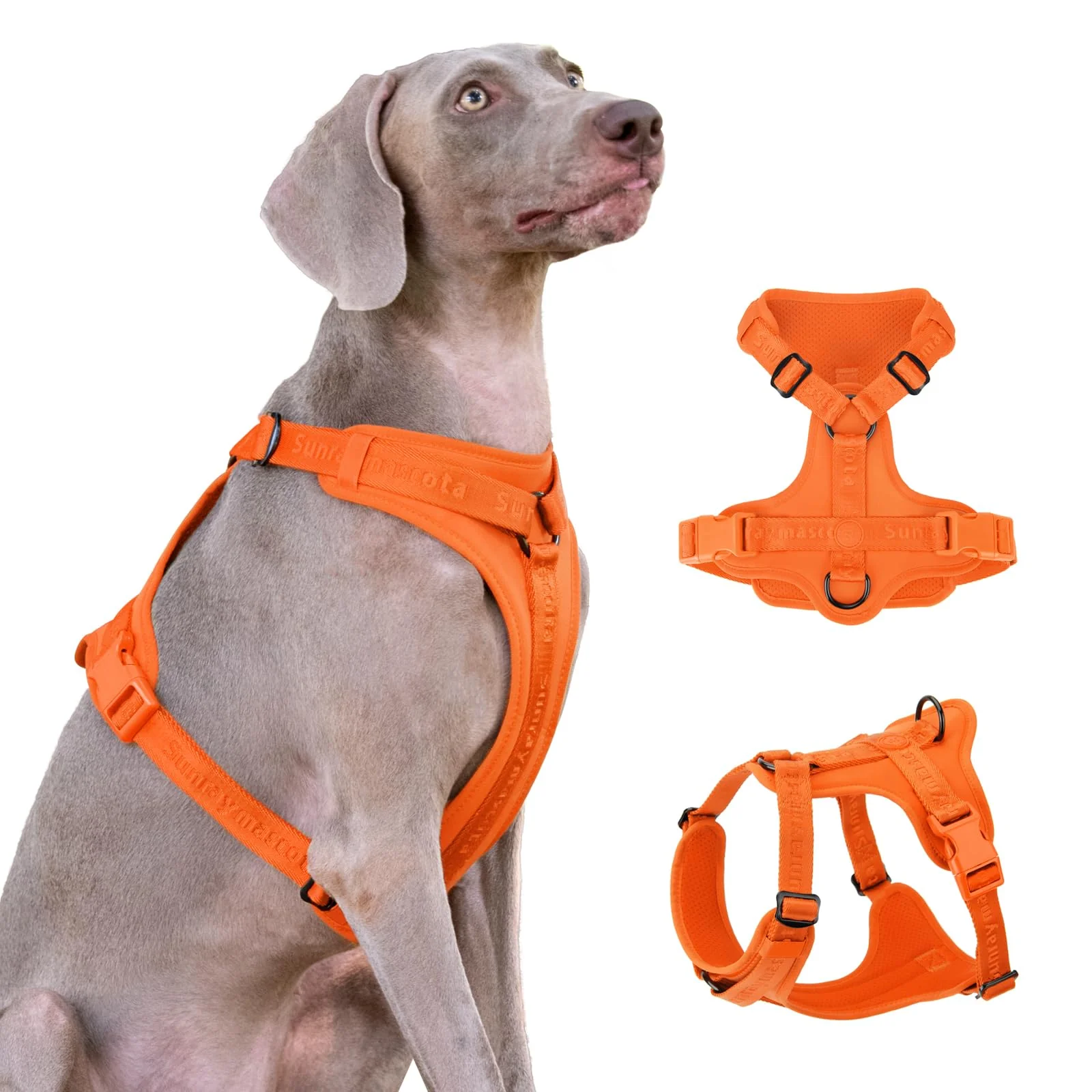 Long-Lasting Sunraymascota No Pull Dog Harness – Lycra Stretch 3D Padding 3-Point Dispersion Orange L Verified
