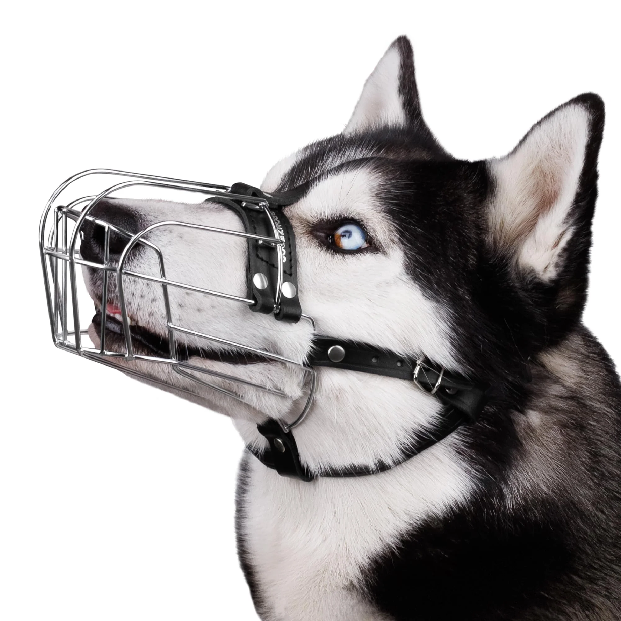 Long-Lasting BRONZEDOG Large Dog Muzzle Adjustable Stainless Steel Basket with Leather Straps Authentic