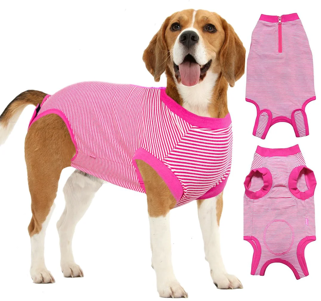 Superior Wabdhaly Recovery Suit for Dogs — Zipper Cone for Female Spay Breathable Anti-Licking Surgery Suit Relaxed