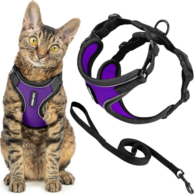 User-Friendly Voyager Escape-Proof Step-in Lock Cat Harness 5ft Neoprene-Handle Leash Set Luxury