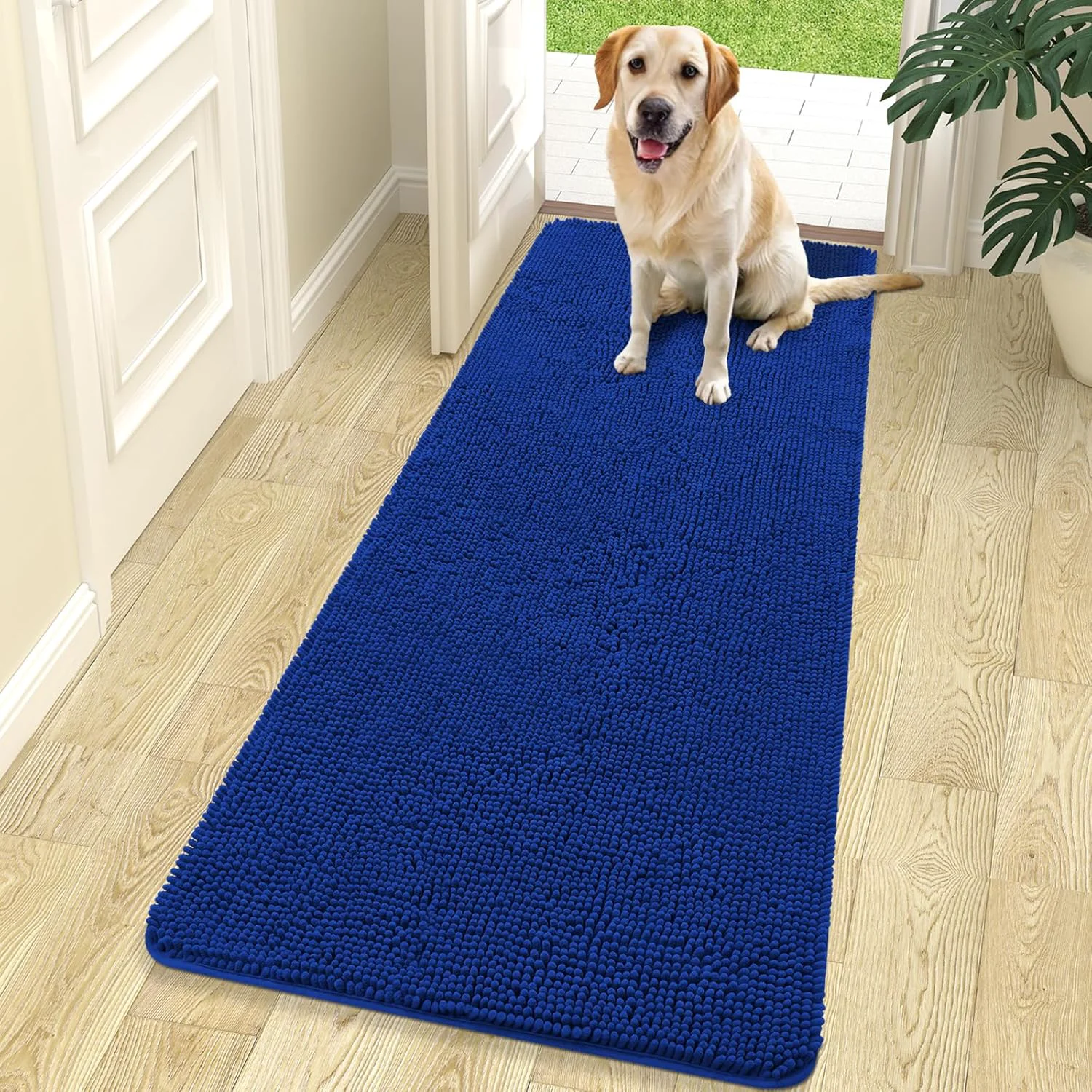 Original OLANLY Dog Door Mat for Muddy Paws 70×24 Absorbs Moisture and Dirt Absorbent Non-Slip Washable Doormat Quick Dry Chenille Mud Mat for Dogs Entry Indoor Entryway Carpet for Inside Floor Royal Blue Green