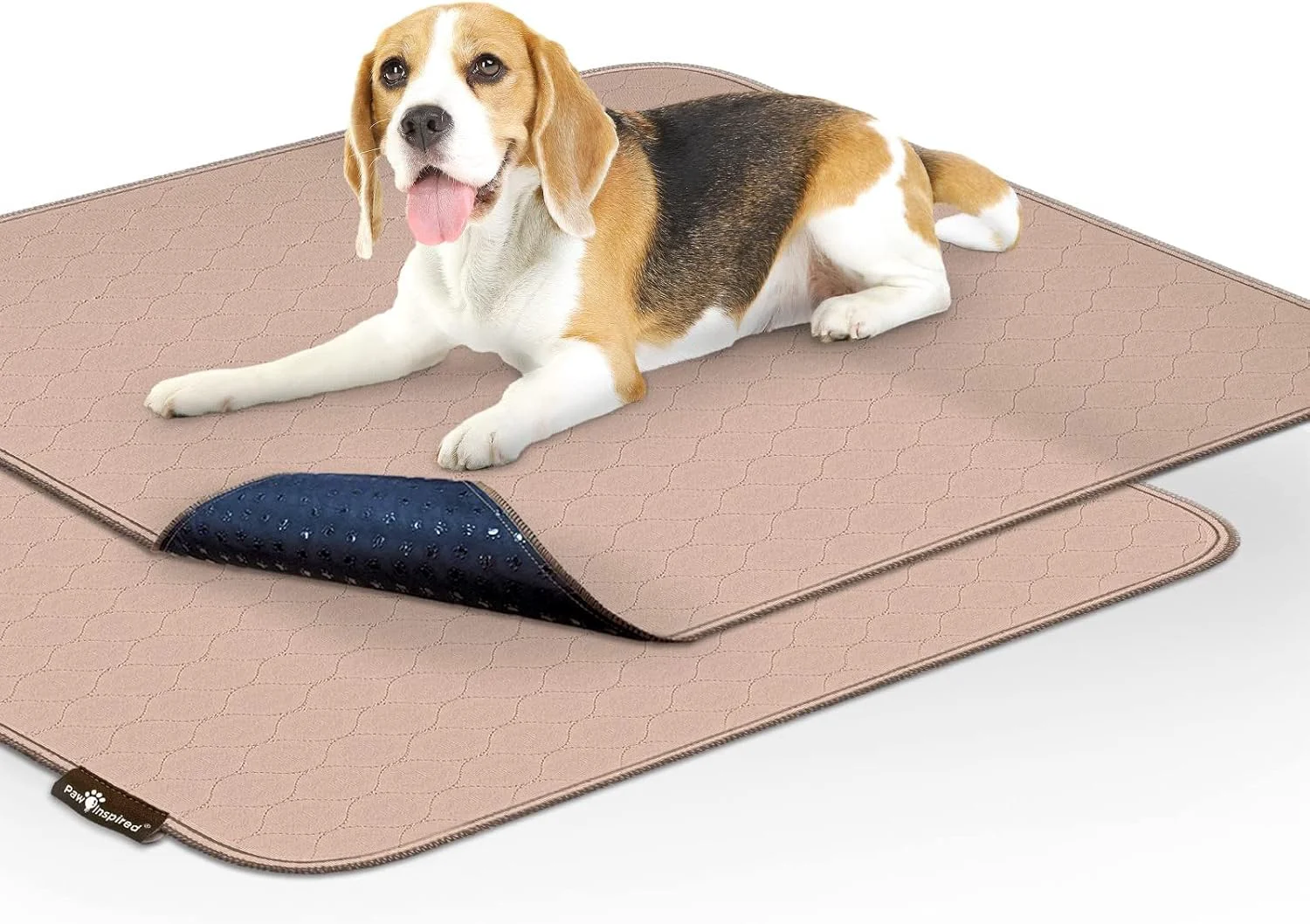 Excellent Paw Inspired Washable Pee Pads for Dogs 2 Pack Leakproof Non-Slip Reusable Puppy Pads for Potty Training Whelping Waterproof Mat 32×30 Inch Pack of 2 Healthy