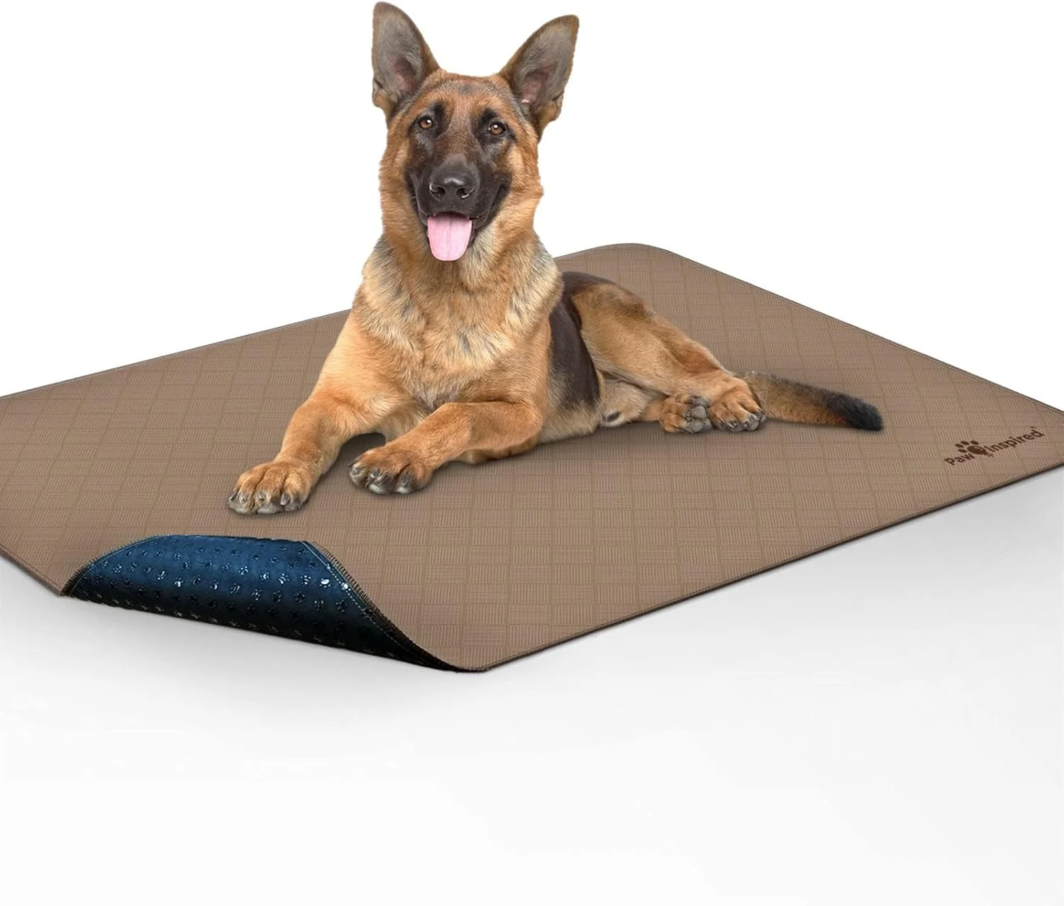 Prestigious Paw Inspired Washable Pee Pads for Dogs Leakproof Non-Slip Reusable Puppy Pads for Potty Training Whelping Waterproof Mat 48×60 Inch Pack of 1 Premium Material