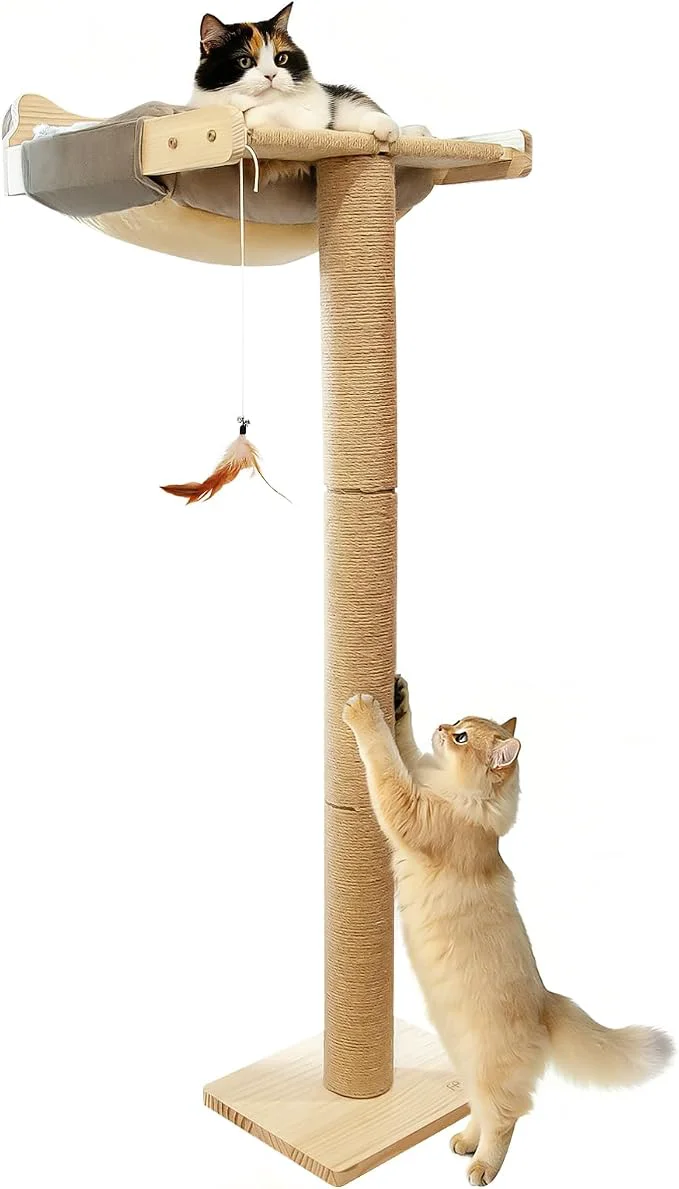 Fine Crafted Cat Window Perch with Scratching Post Bird Watching Supports 45 lbs Fashionable