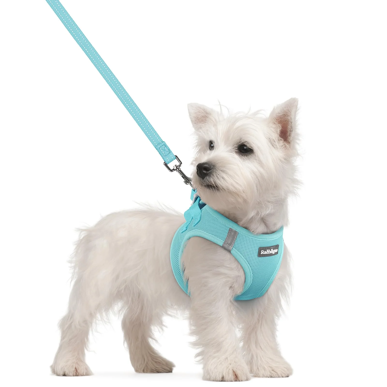 Crafted rabbitgoo Step-In Small Dog Harness and Leash Set Mint Blue Breathable Reflective Vest Excellent
