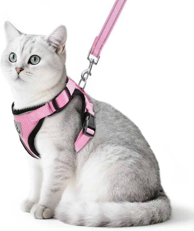 Fast PUPTECK Cat Harness and Leash Set Escape Proof Reflective Cat Walking Harness High-Quality