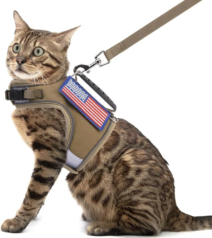 Pure PUPTECK Soft Mesh Cat Vest Harness and Leash Set Puppy Padded Pet Harnesses Unique