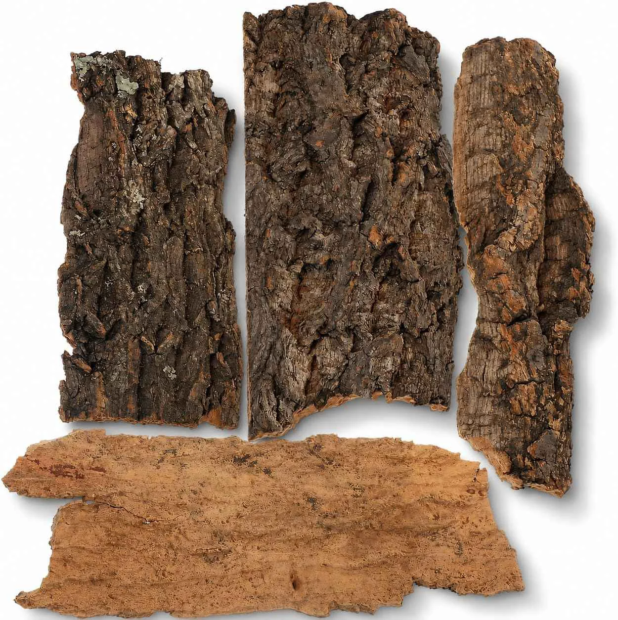 Superior 4-Piece Natural Cork Bark Flat Set Proven