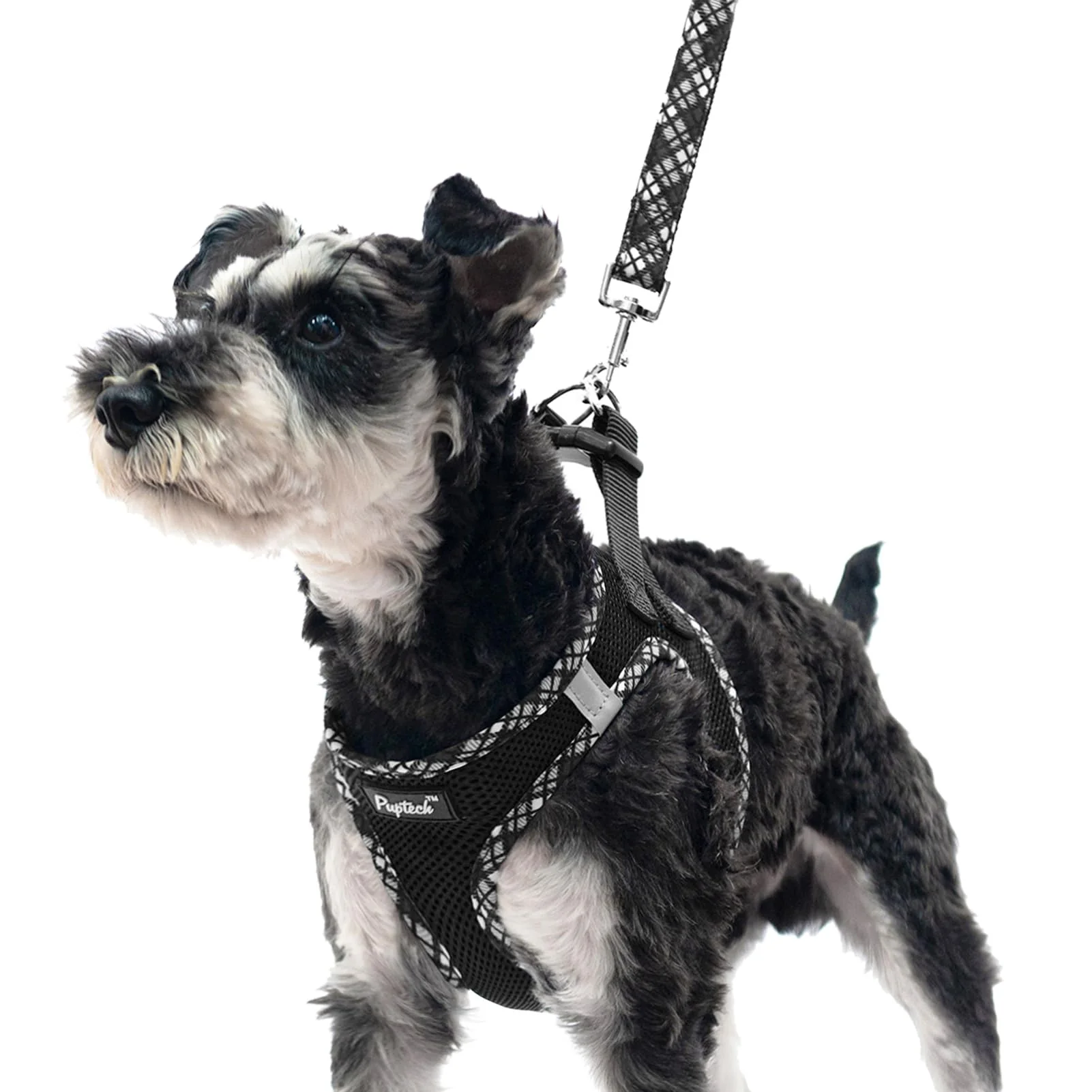 Proven PUPTECK No-Pull Step-In Dog Harness Leash Set – Soft Mesh Reflective Small to Medium Dogs Black High-Performance