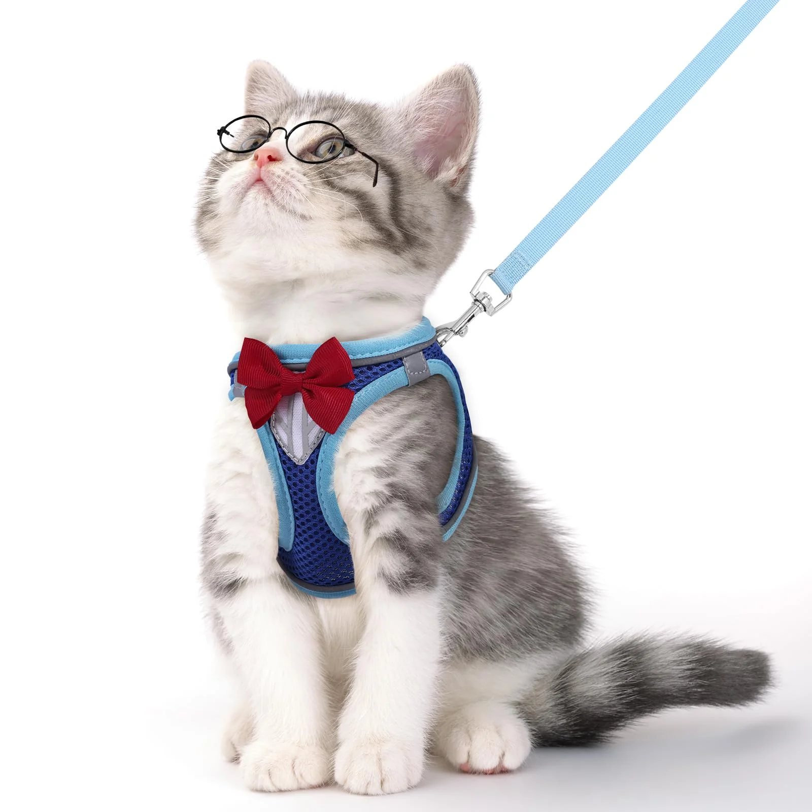 First-Class NCMAMA Cat Vest Harness and Leash Set — Escape-Proof Detective Conan-Inspired Medium Expertly Made