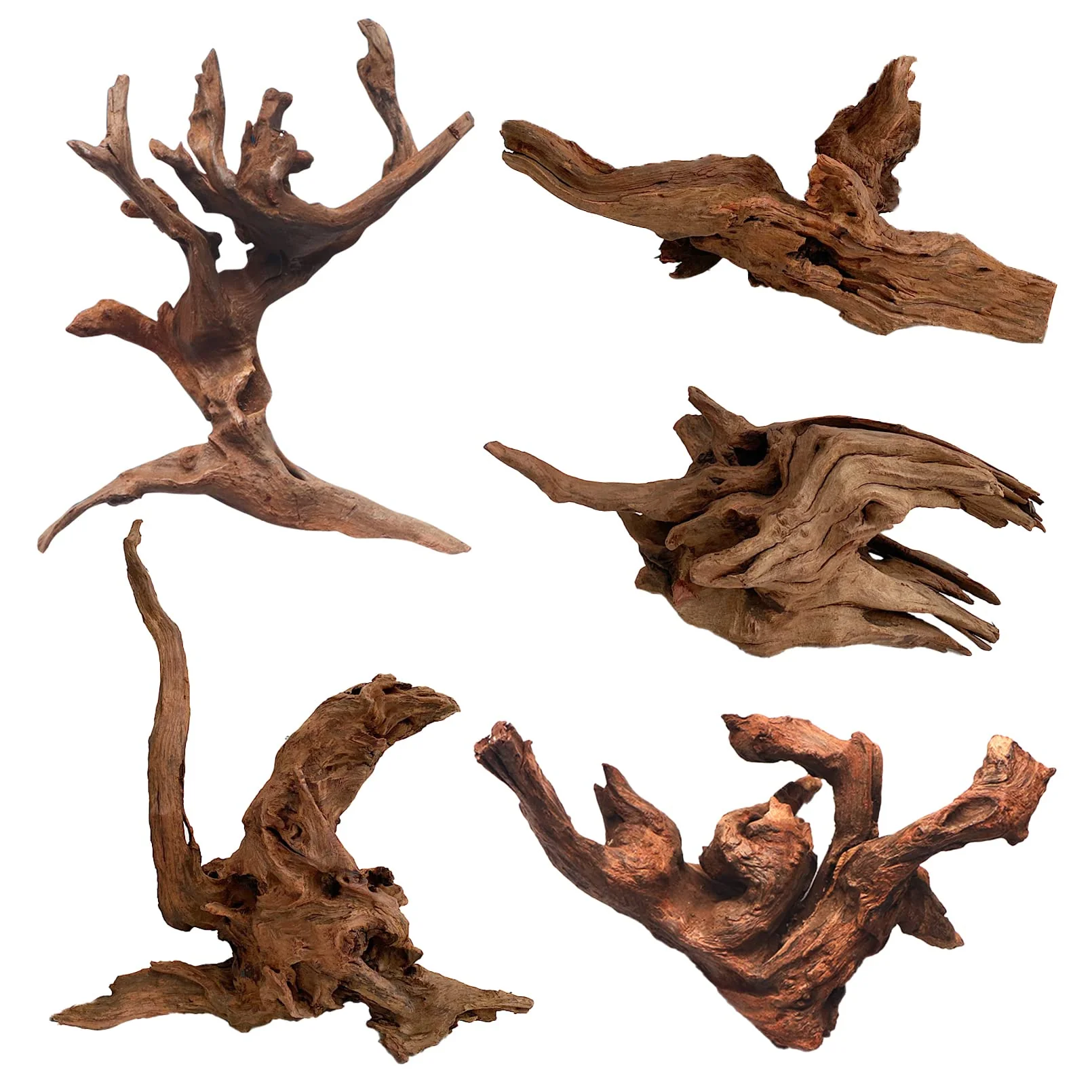 Excellent Hamiledyi 5 Pcs Driftwood Branches – Natural Mopani Wood for Aquarium Reptile Habitat Long-Lasting