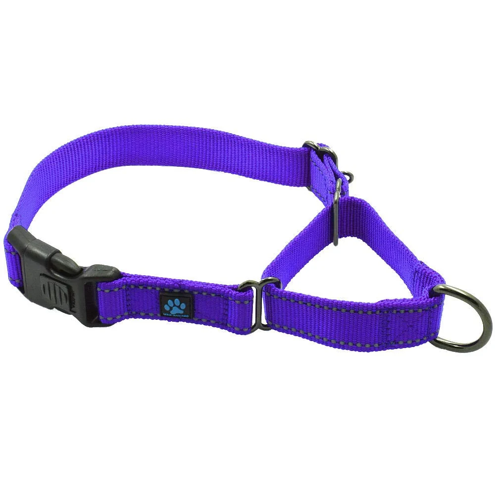 Powerful Max and Neo Nylon Martingale Collar – Medium Purple 1-for-1 Rescue Donation Detailed