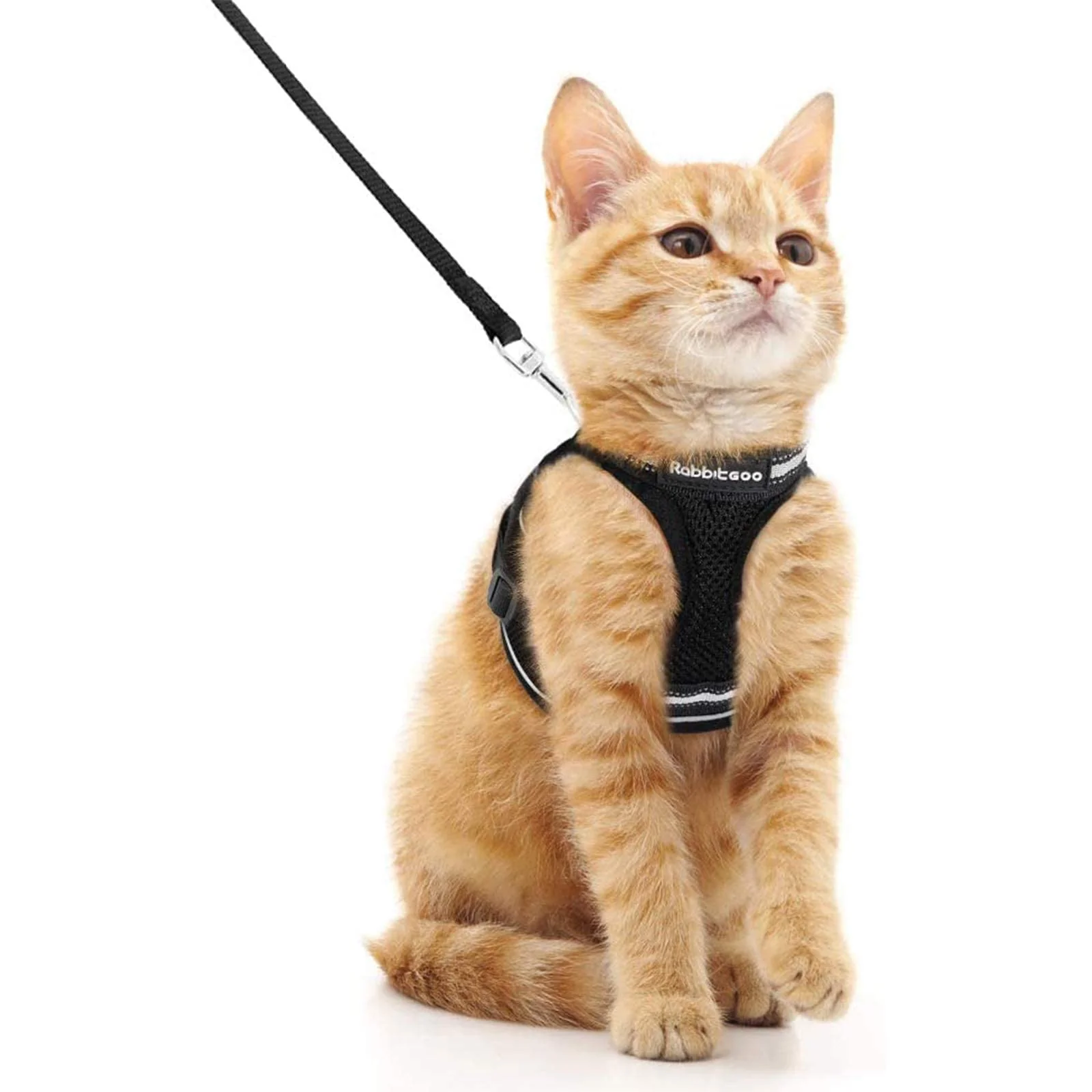 Lightweight Rabbitgoo Cat Harness Leash Set — Escape-Proof Adjustable Comfort Vest with Reflective Strips for Cats Black M Luxury