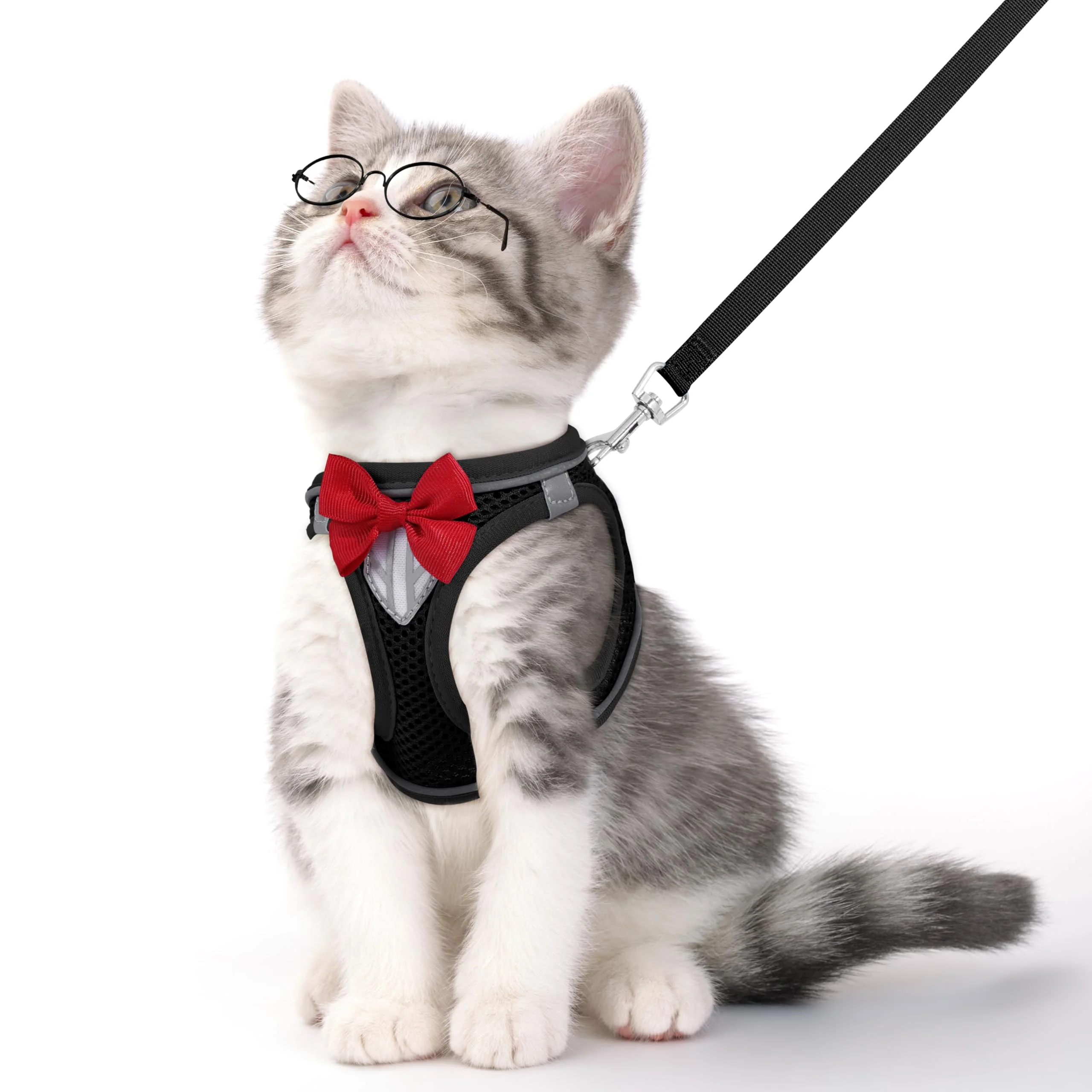 Advanced NCMAMA Cat Vest Harness Leash Set — Escape-Proof Adjustable Reflective for Safe Night Walks Exceptional