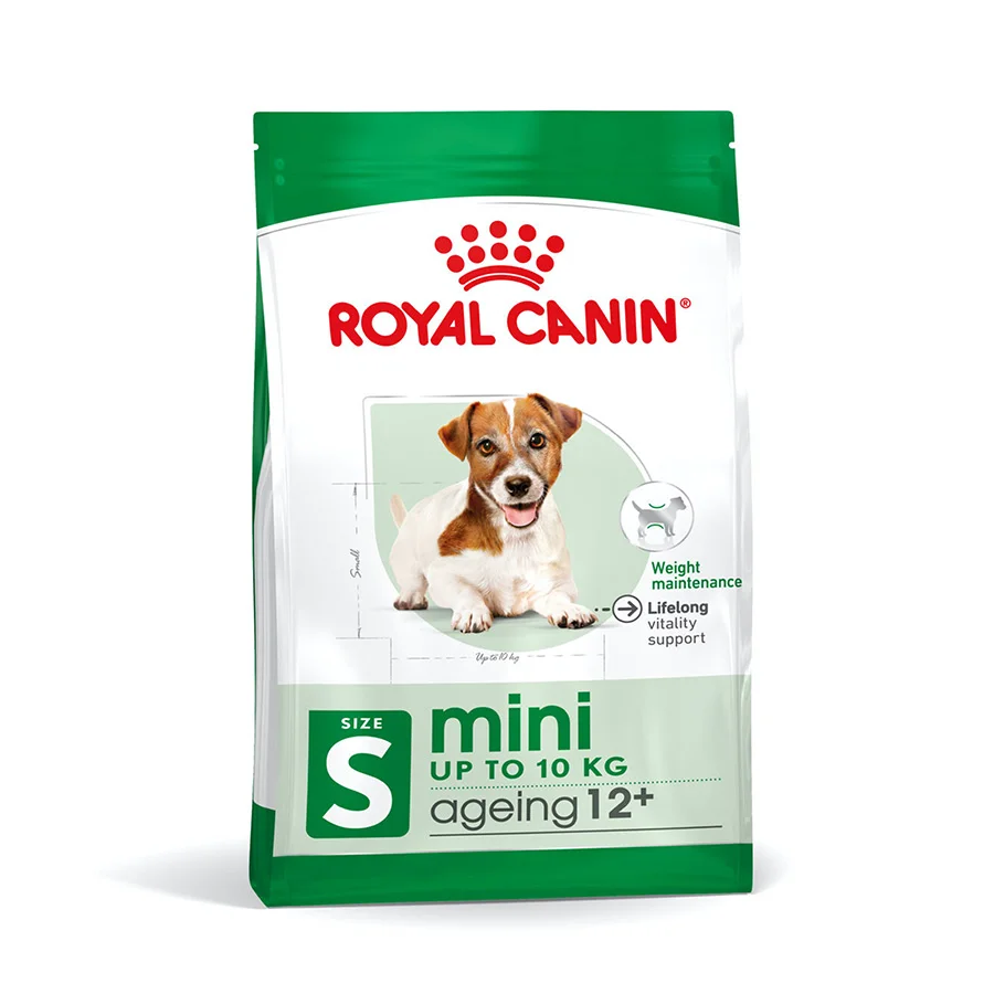 Comfortable Royal Canin Mini Ageing 12 Dry Senior Dog Food 1.5kg Consistent