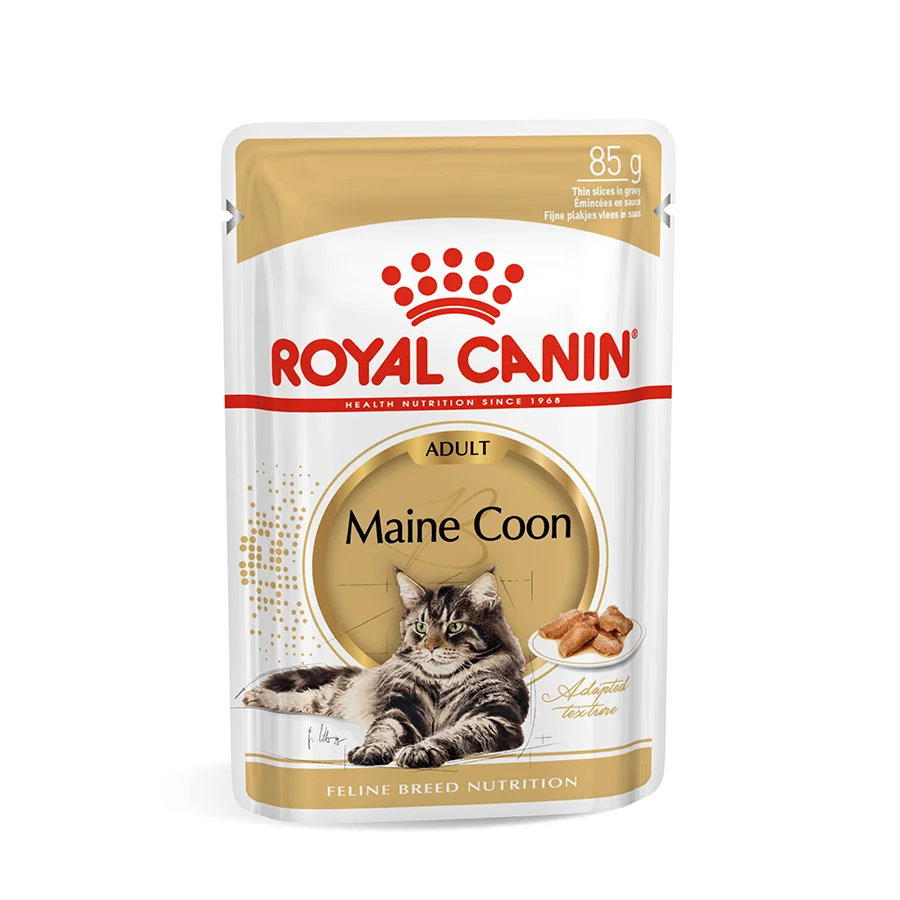 Pure Royal Canin Maine Coon Adult Wet Cat Food In Gravy 12x85g Fine