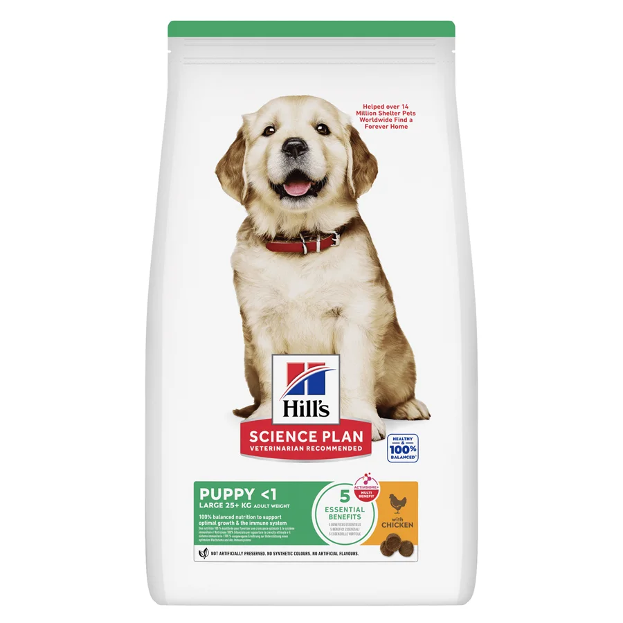 Dependable Hill x27 s Science Plan Large Breed Puppy Dry Dog Food Chicken 12kg Sophisticated