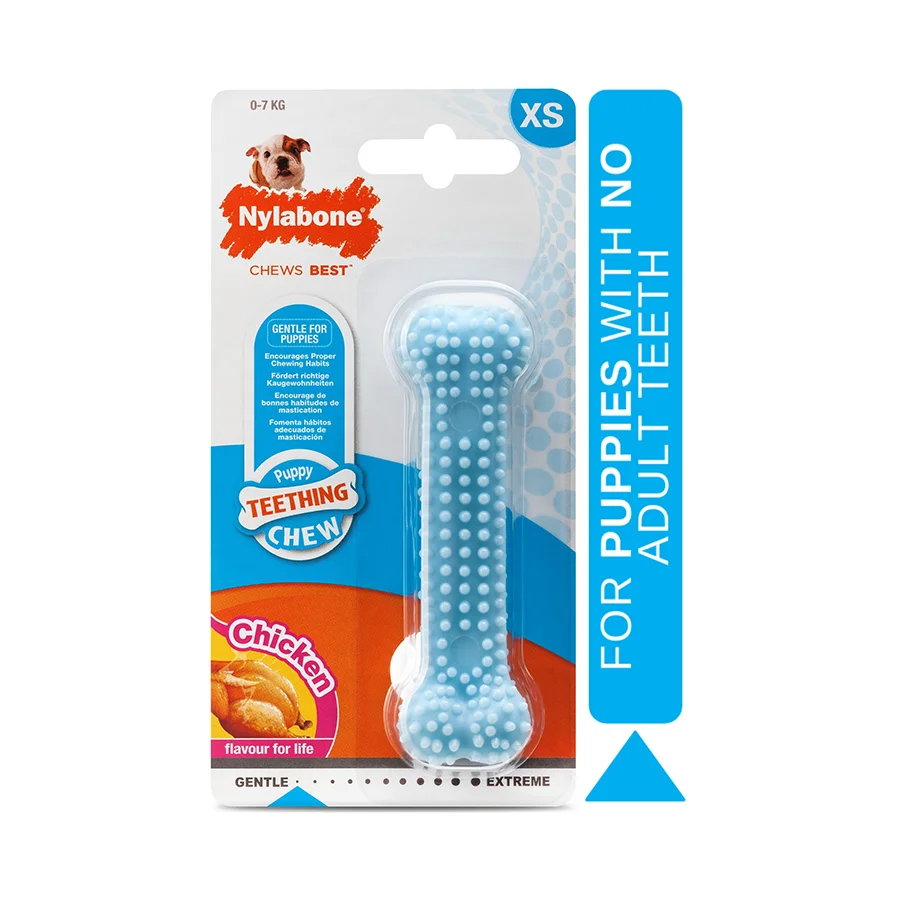 High-Quality Nylabone Puppy Dental Chew Toy Chicken Flavour X Small Green