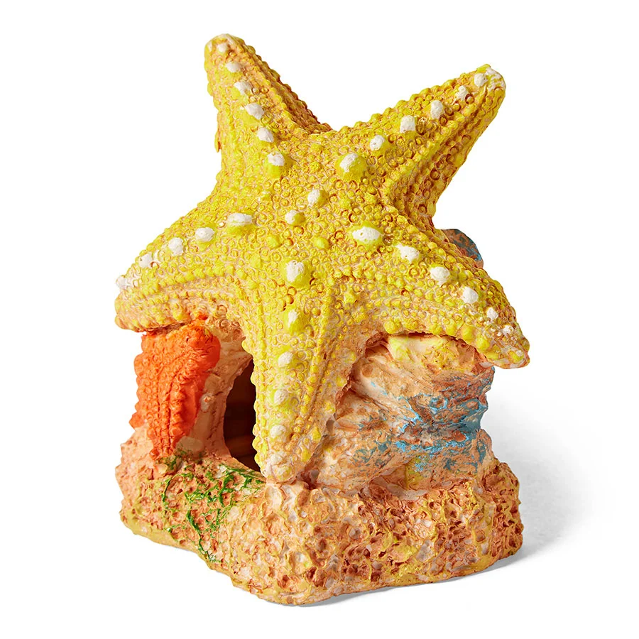Easy-to-Use Pets at Home Sea Star Duo Aquarium Ornament Authentic