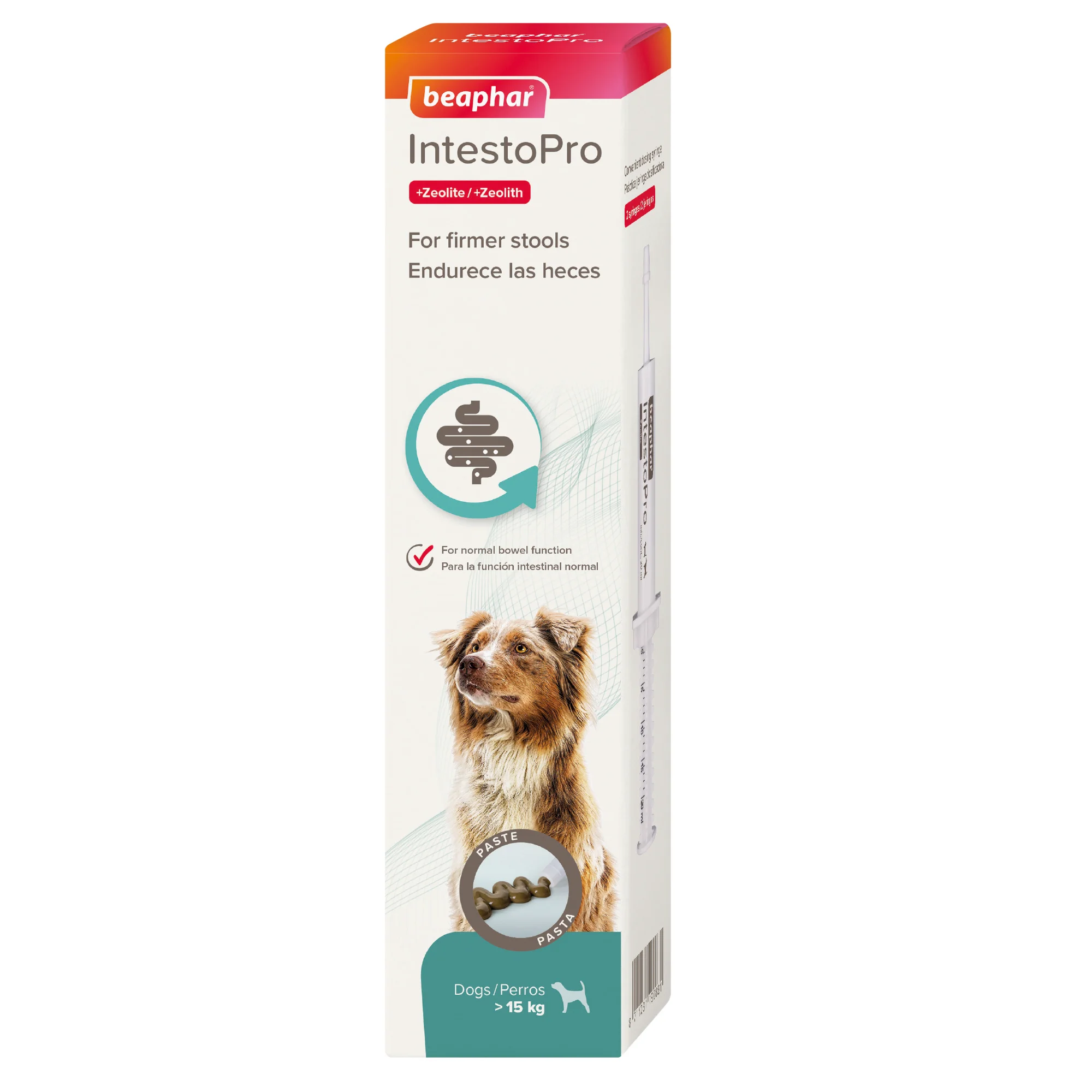Versatile Beaphar IntestoPro Stool Firming Paste for Medium Large Dogs gt 15kg 20ml Eco-Friendly