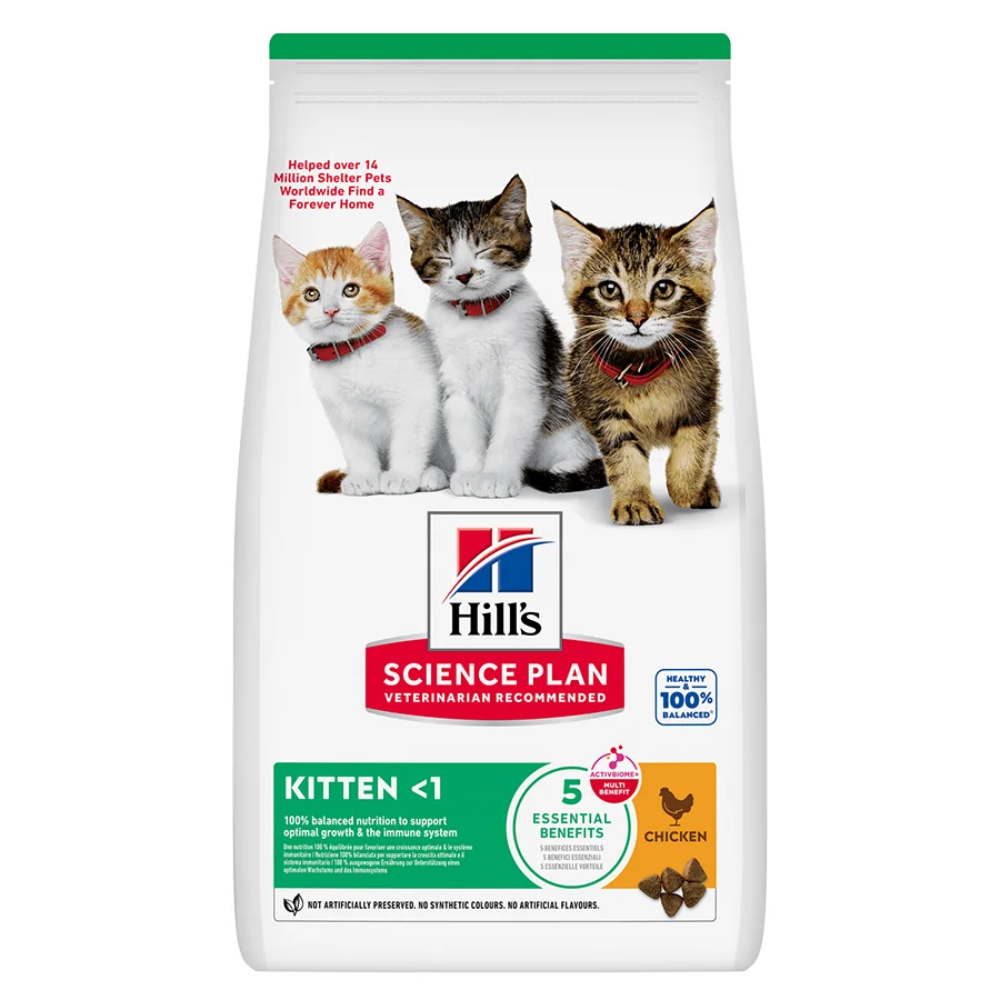 Artisan Hill x27 s Science Plan Kitten Dry Cat Food Chicken 300g World-Class