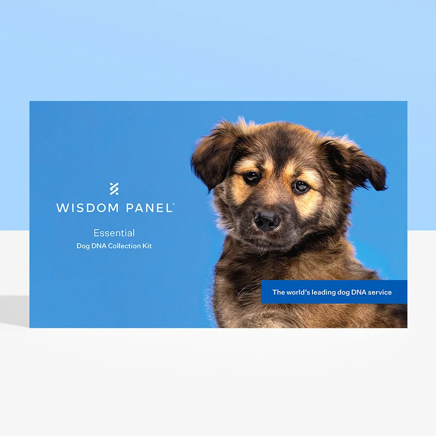Minimalist Wisdom Panel Essential Dog DNA Test Consistent